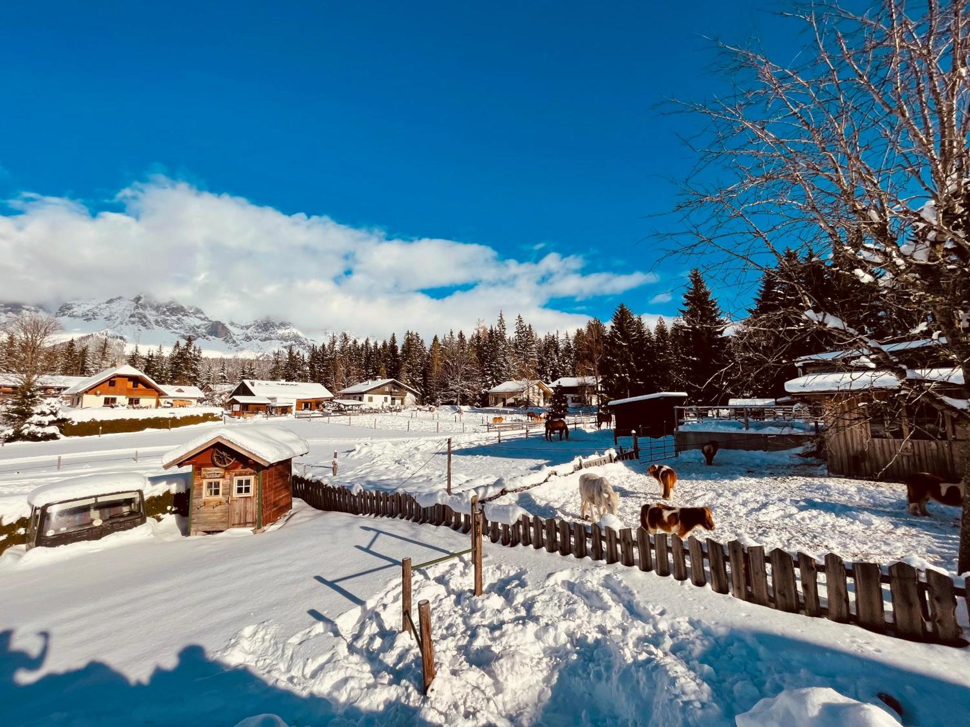 Pension Vorberghof- Bauernhofurlaub Ramsau am Dachstein Exterior foto